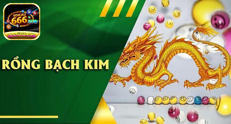 Khám phá câu hỏi rồng bạch kim 666 là gì? Kinh nghiệm chốt sổ từ cao thủ