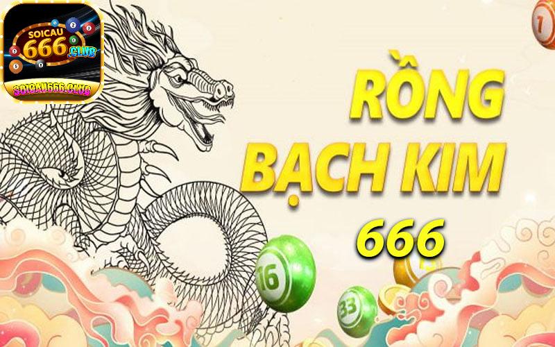 Khám phá câu hỏi rồng bạch kim 666 là gì? Kinh nghiệm chốt sổ từ cao thủ