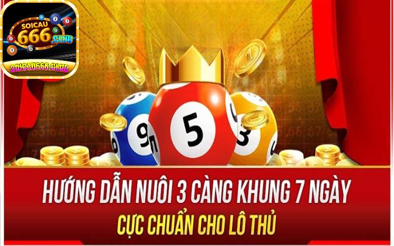 Cách nuôi lô 3 càng đề khung 7 ngày tiền về mỏi tay