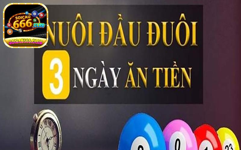 Phương pháp nuôi đầu đuôi khung 3 ngày vip được cao thủ tin dùng