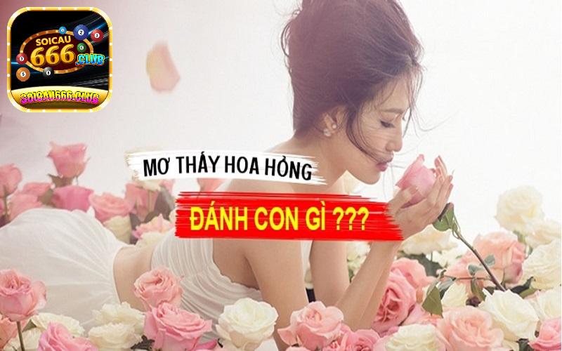 Khám phá ý nghĩa giấc mơ thấy hoa hồng - Giải mã và các con số may mắn